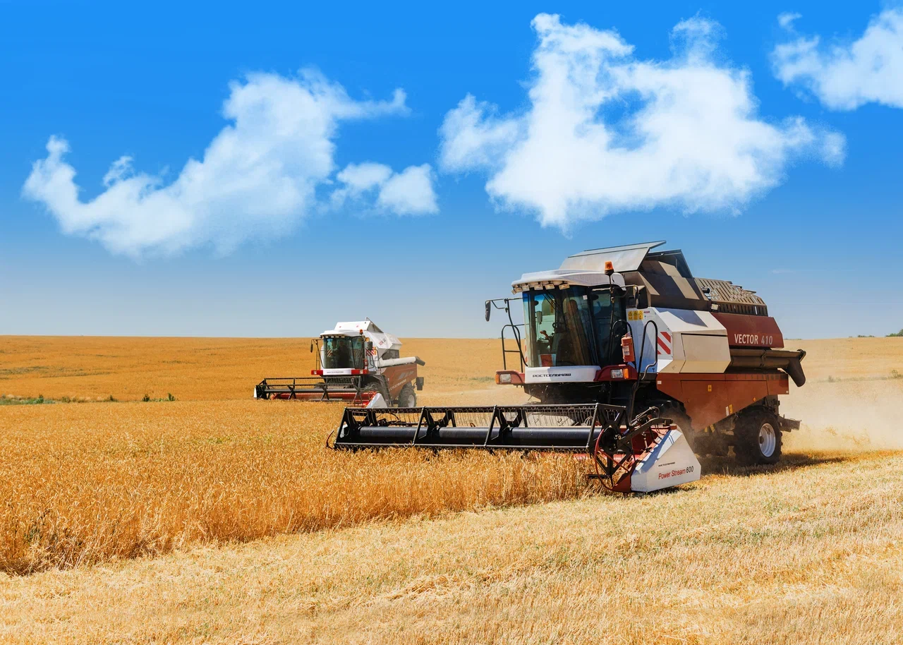 Юрченко Тамара Демьяновна,  зерноуборочный комбайн VECTOR 410