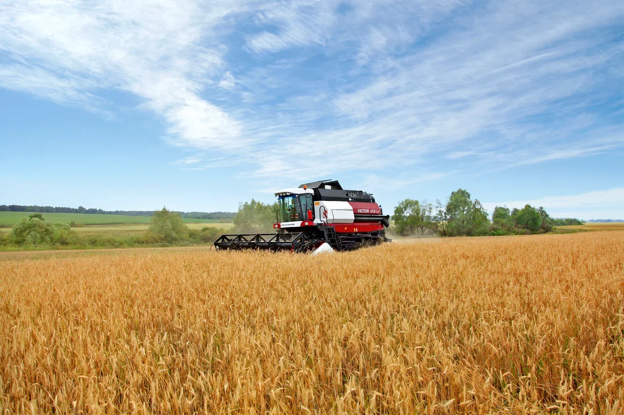 Сергей Степанович Грищенко,  VECTOR 410 и VECTOR 450 Track