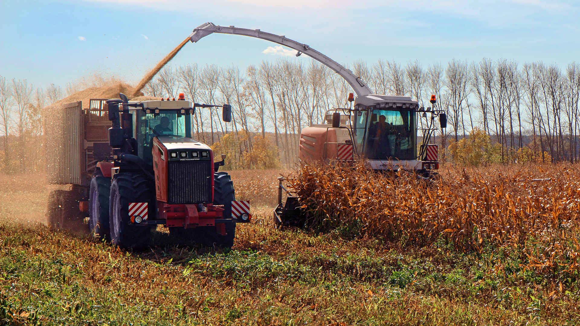 КФХ Жариков, кормоуборочный комбайн F 2750