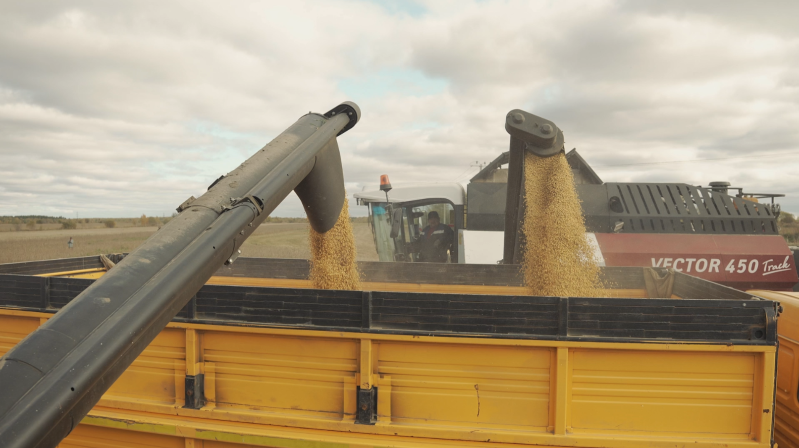 ИП Прилепин Иван Сергеевич, зерноуборочный комбайн VECTOR 450 Track